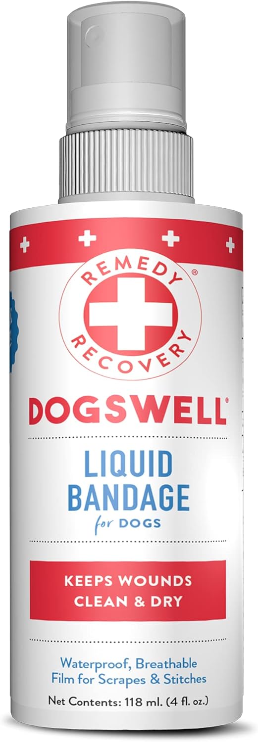 Remedy & Recovery Medicated Antiseptic Spray 4 oz