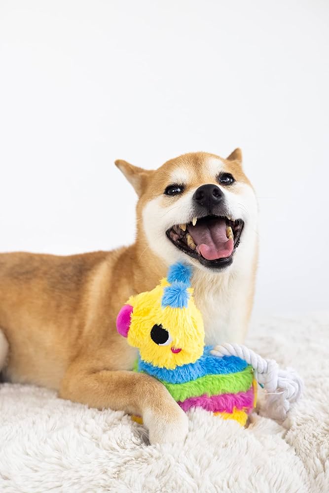 Puppy Piñata Dog Toy
