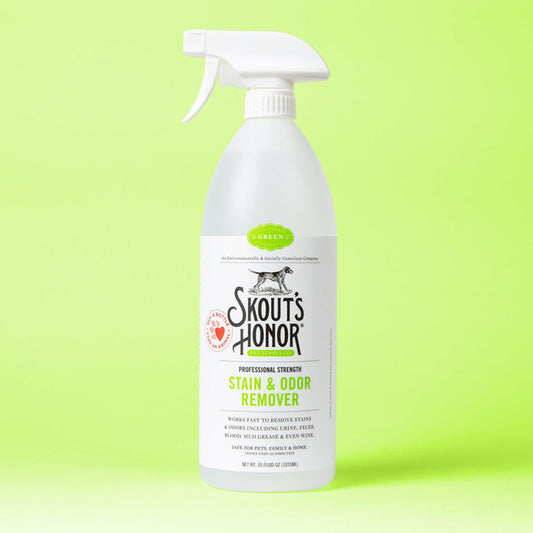 Stain & Odor Remover Spray - 35 oz