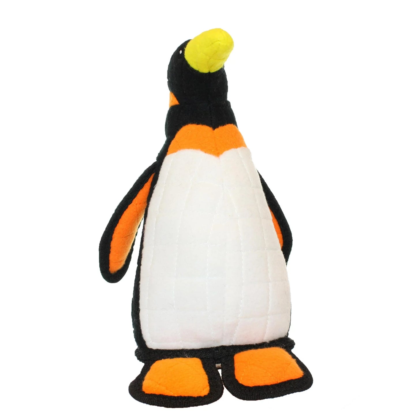 Zoo Penguin
