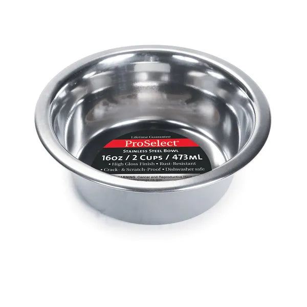 Heavy Stainless Steel Dish - 16 oz