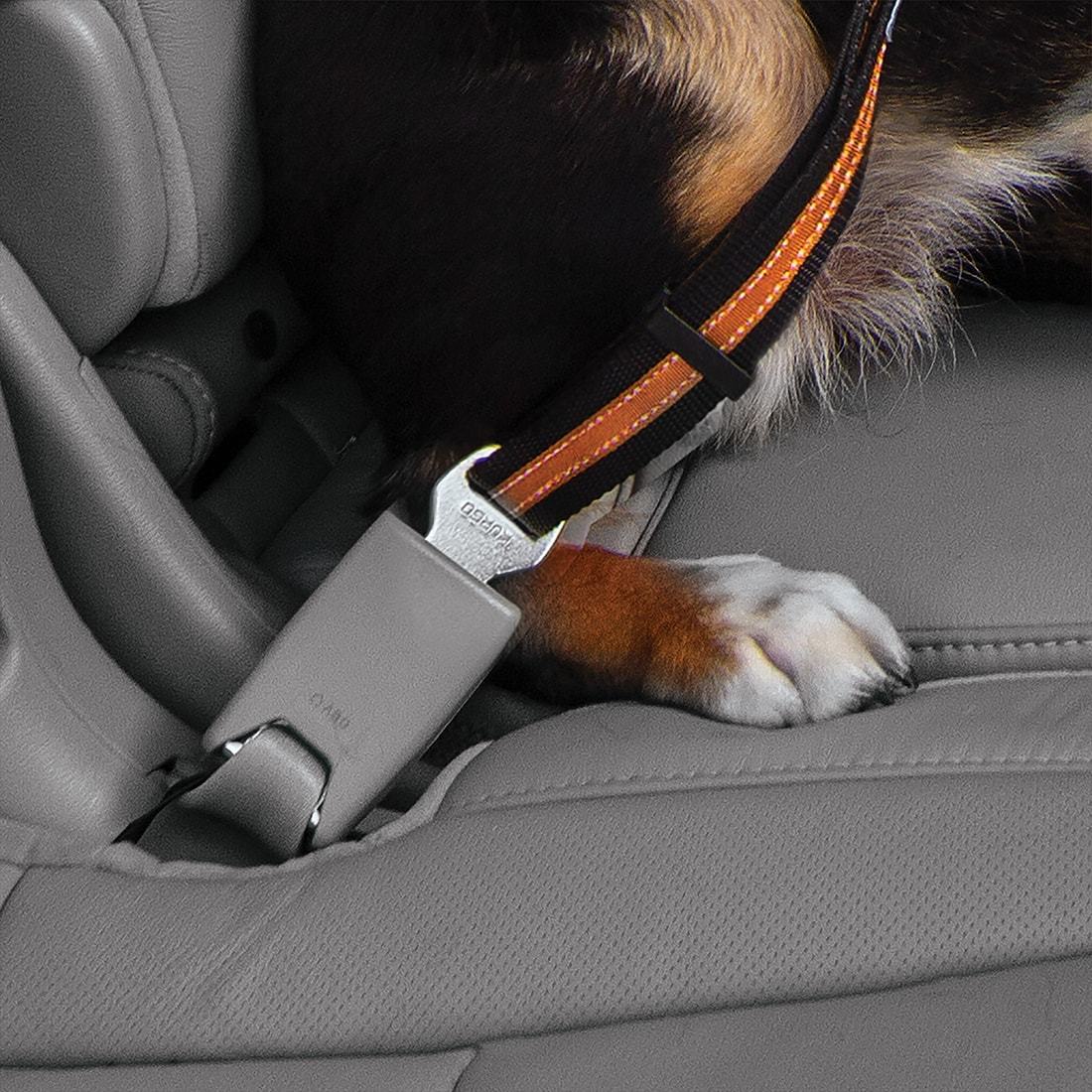 Seat Belt Tether