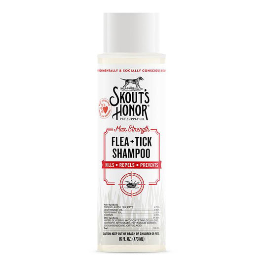 Flea & Tick Shampoo