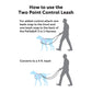 Two Point Control Leash
